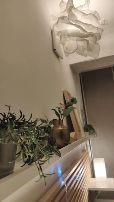 Appartement - Brando Buitenkant foto